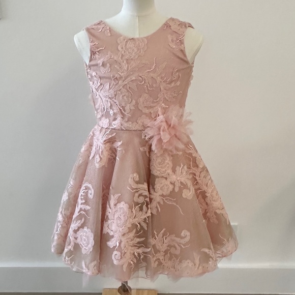Zoe Ltd. Girls Formal Pink Dress LIKE NEW, WORN ONE TIME Size 8, Valentine's Day - Picture 2 of 16
